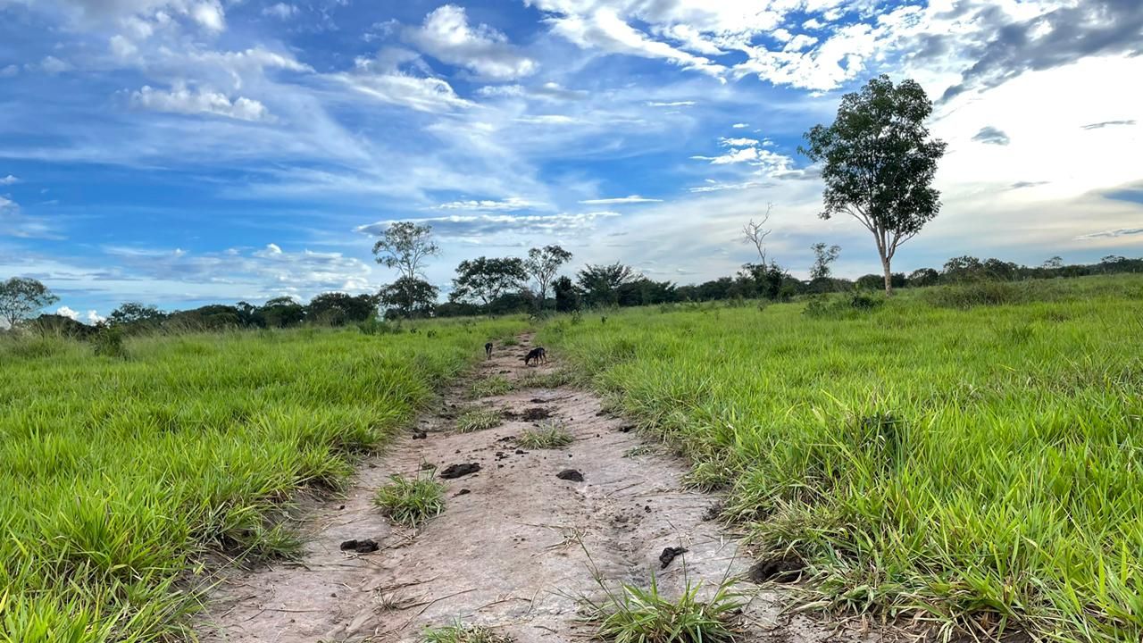 Imagens do imóveis fazenda à venda em zona rural, aliança do tocantins 15720000m²