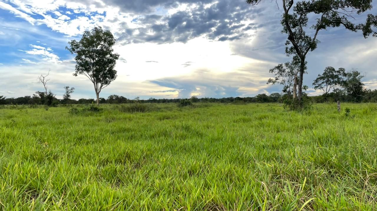 Imagens do imóveis fazenda à venda em zona rural, aliança do tocantins 15720000m²
