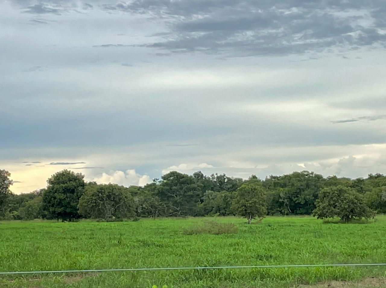 Imagens do imóveis fazenda à venda em zona rural, aliança do tocantins 15720000m²