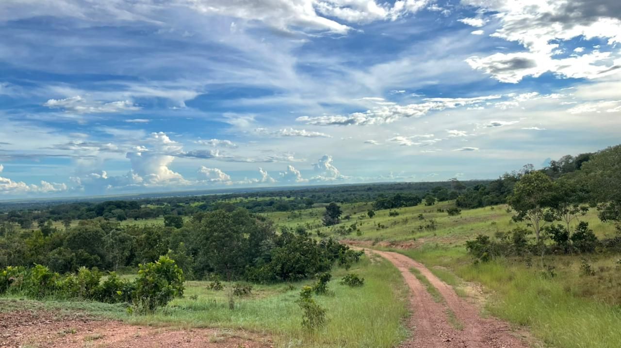 Imagens do imóveis fazenda à venda em zona rural, aliança do tocantins 15720000m²