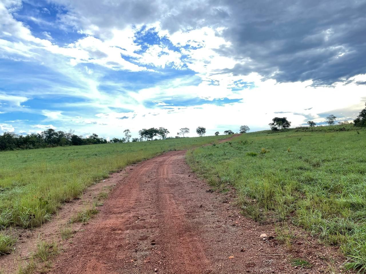 Imagens do imóveis fazenda à venda em zona rural, aliança do tocantins 15720000m²