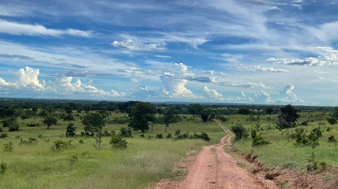 Imagens do imóveis fazenda à venda em zona rural, aliança do tocantins 15720000m²