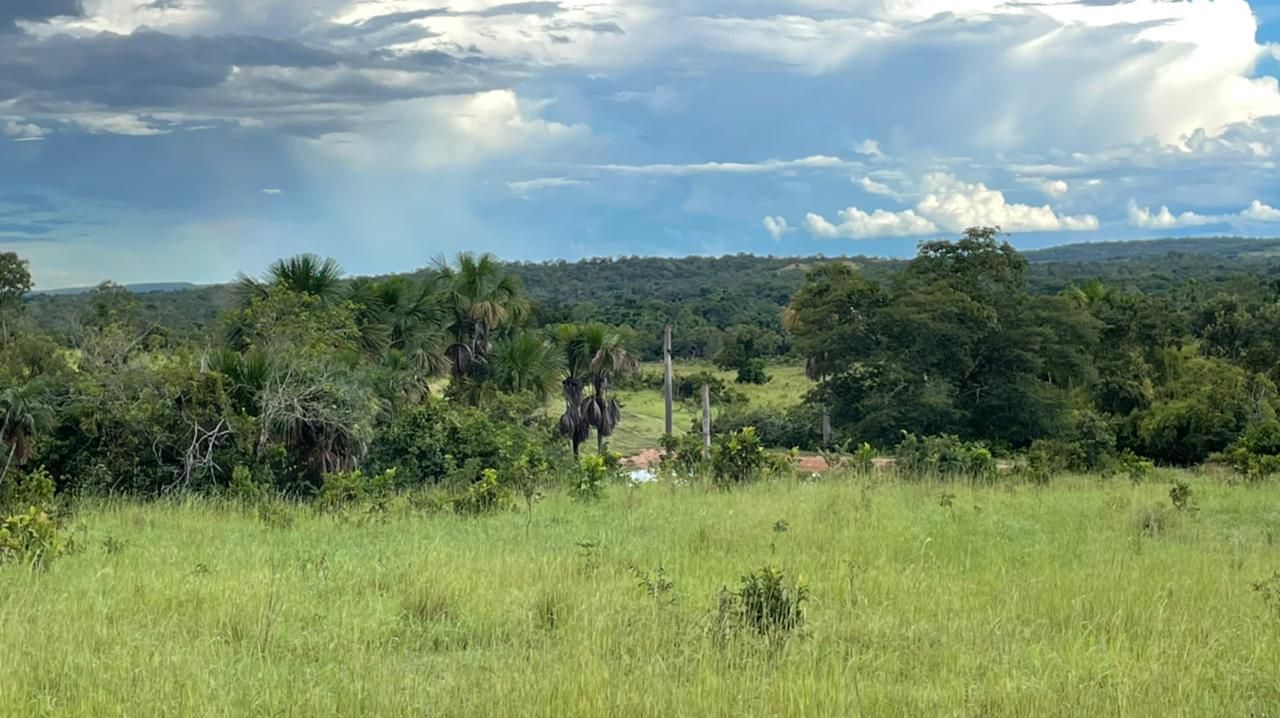 Imagens do imóveis fazenda à venda em zona rural, aliança do tocantins 15720000m²