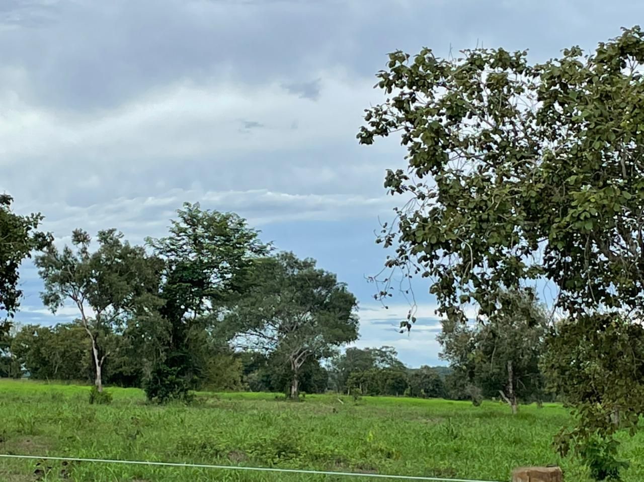 Imagens do imóveis fazenda à venda em zona rural, aliança do tocantins 15720000m²