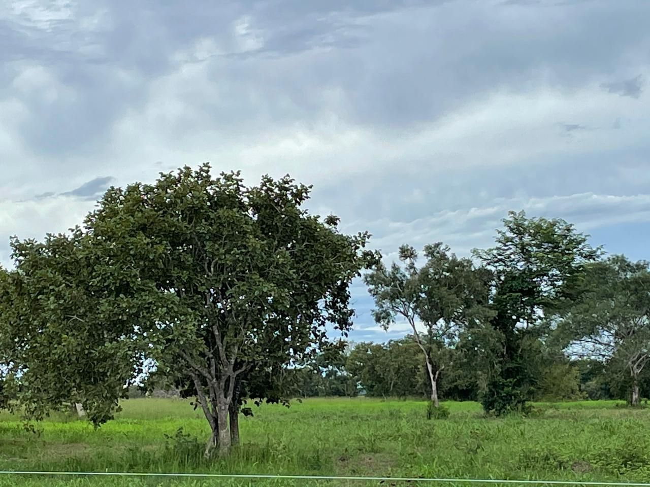 Imagens do imóveis fazenda à venda em zona rural, aliança do tocantins 15720000m²