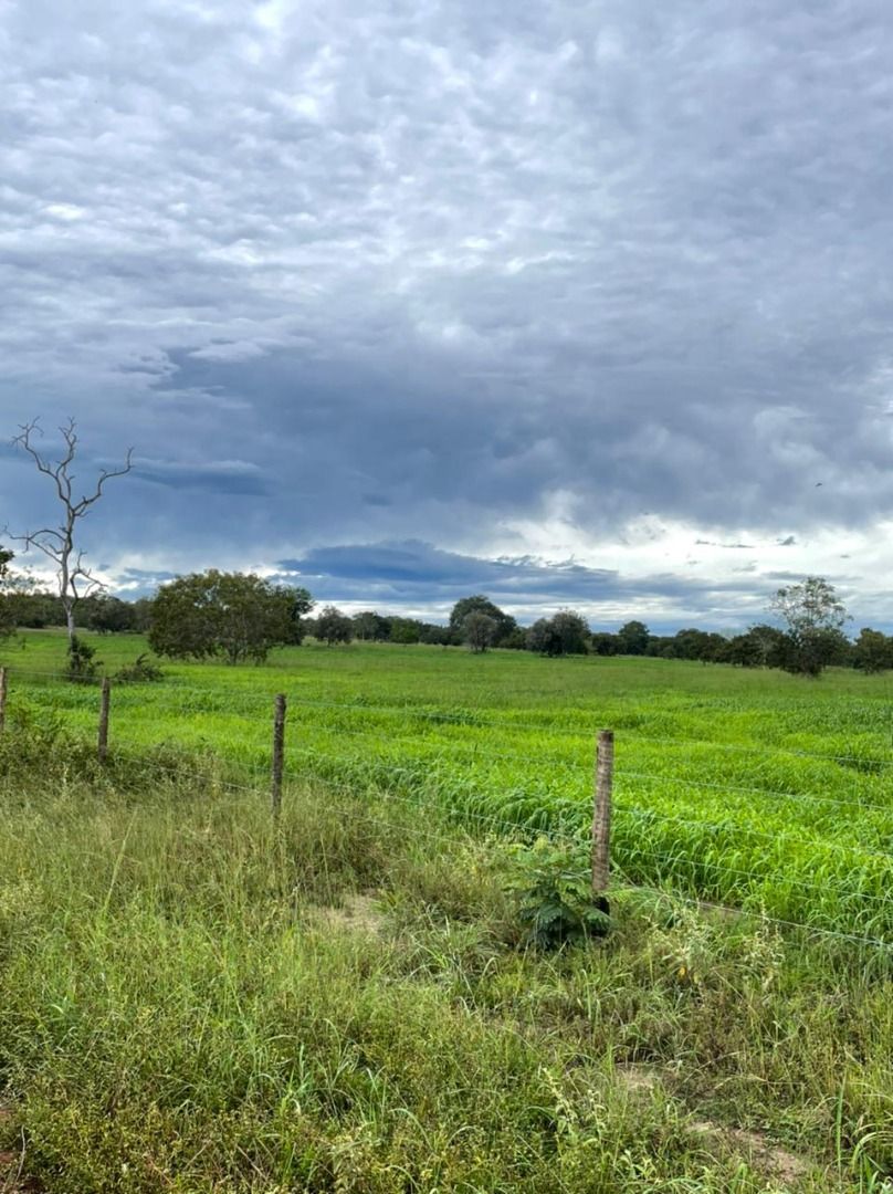 Imagens do imóveis fazenda à venda em zona rural, aliança do tocantins 15720000m²