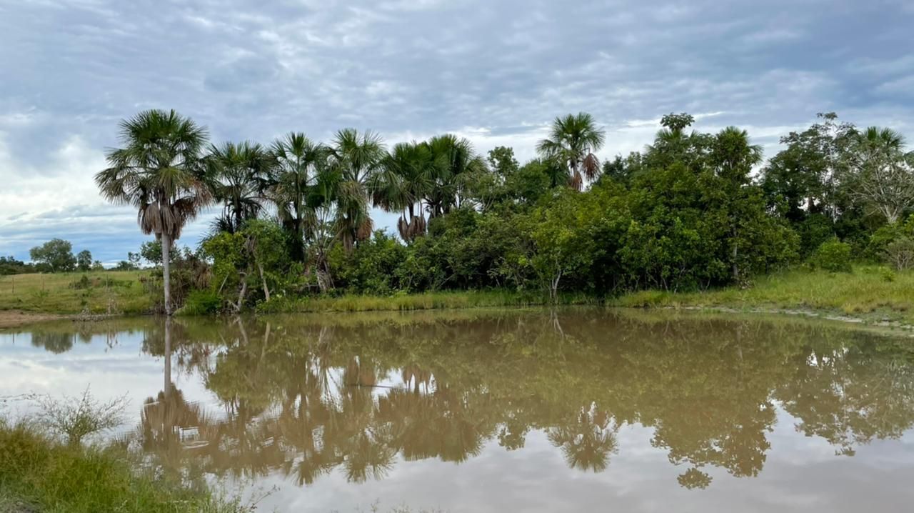 Imagens do imóveis fazenda à venda em zona rural, aliança do tocantins 15720000m²