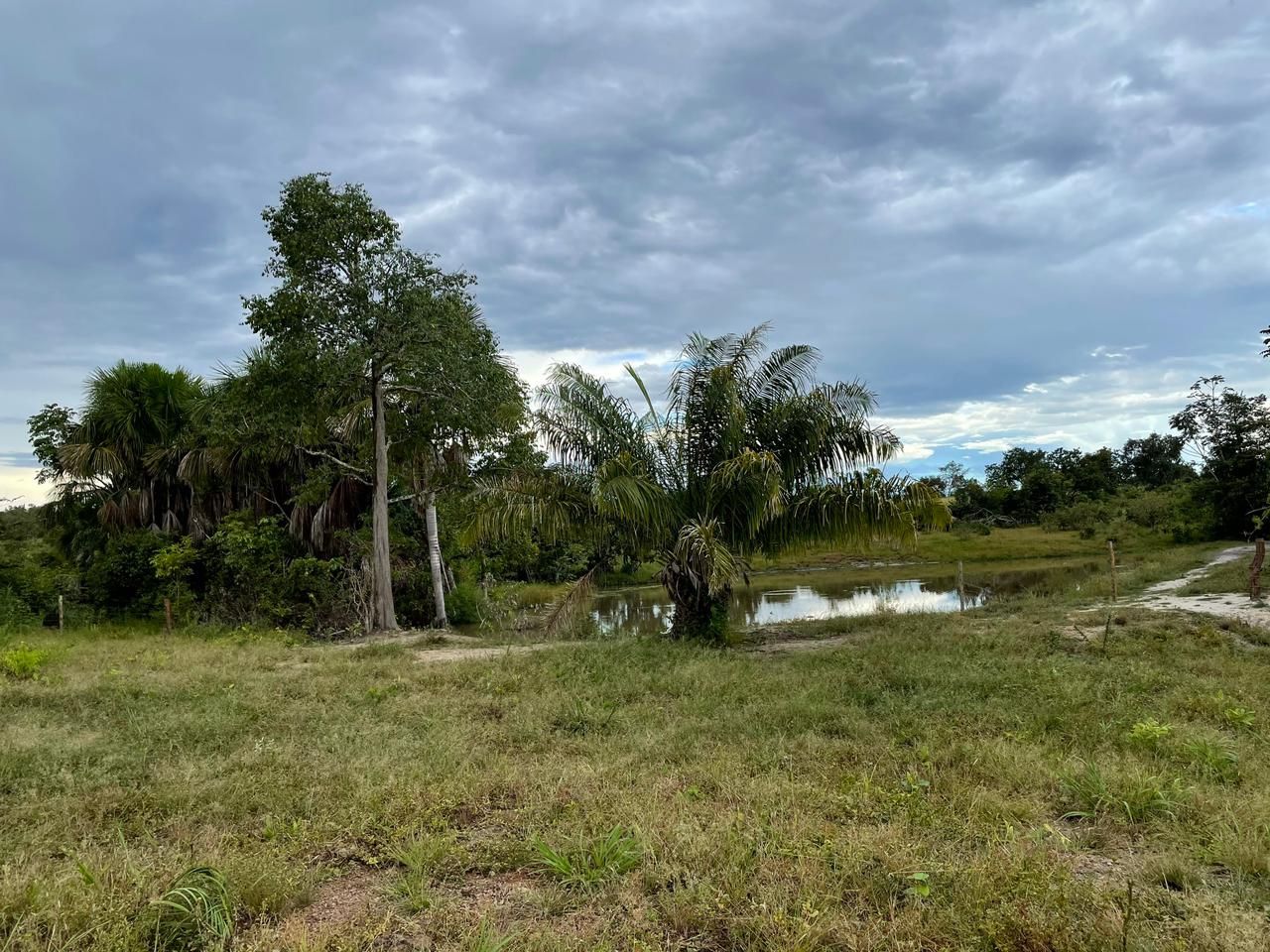Imagens do imóveis fazenda à venda em zona rural, aliança do tocantins 15720000m²