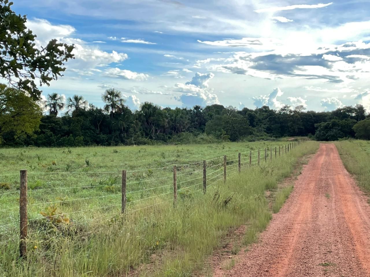 Imagens do imóveis fazenda à venda em zona rural, aliança do tocantins 15720000m²