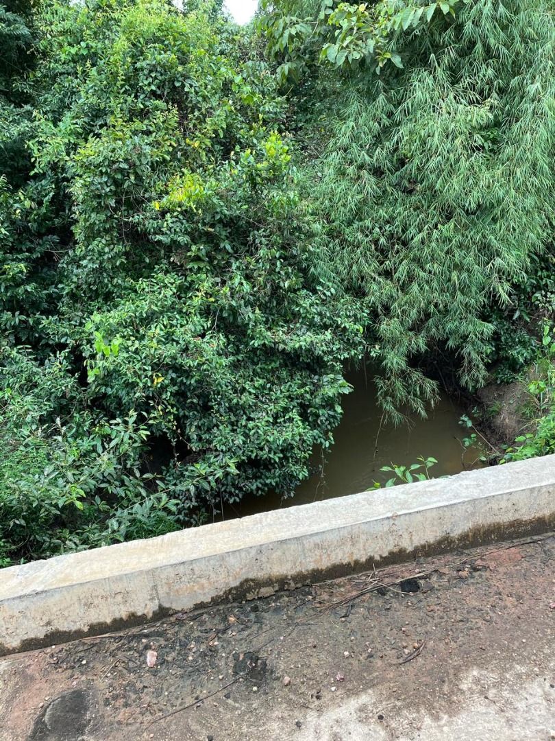 Imagens do imóveis fazenda à venda em zona rural, aliança do tocantins 15720000m²