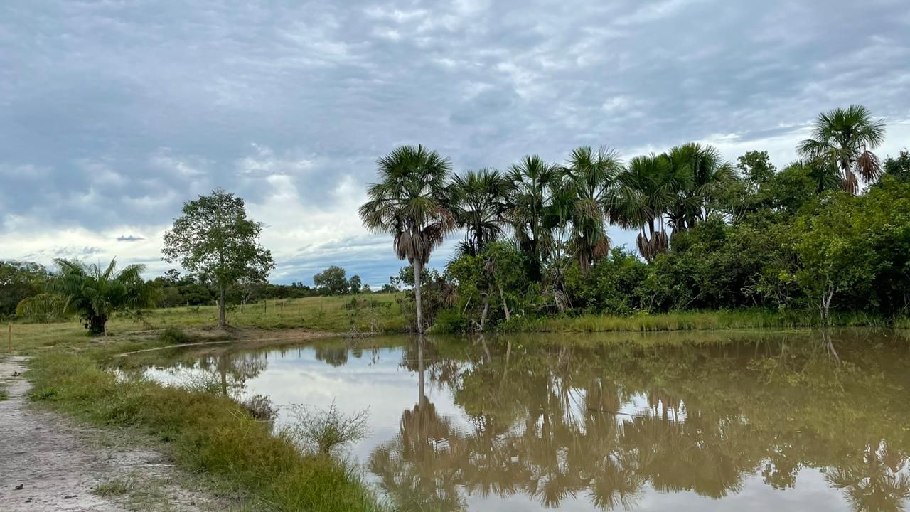 Imagens do imóveis fazenda à venda em zona rural, aliança do tocantins 15720000m²