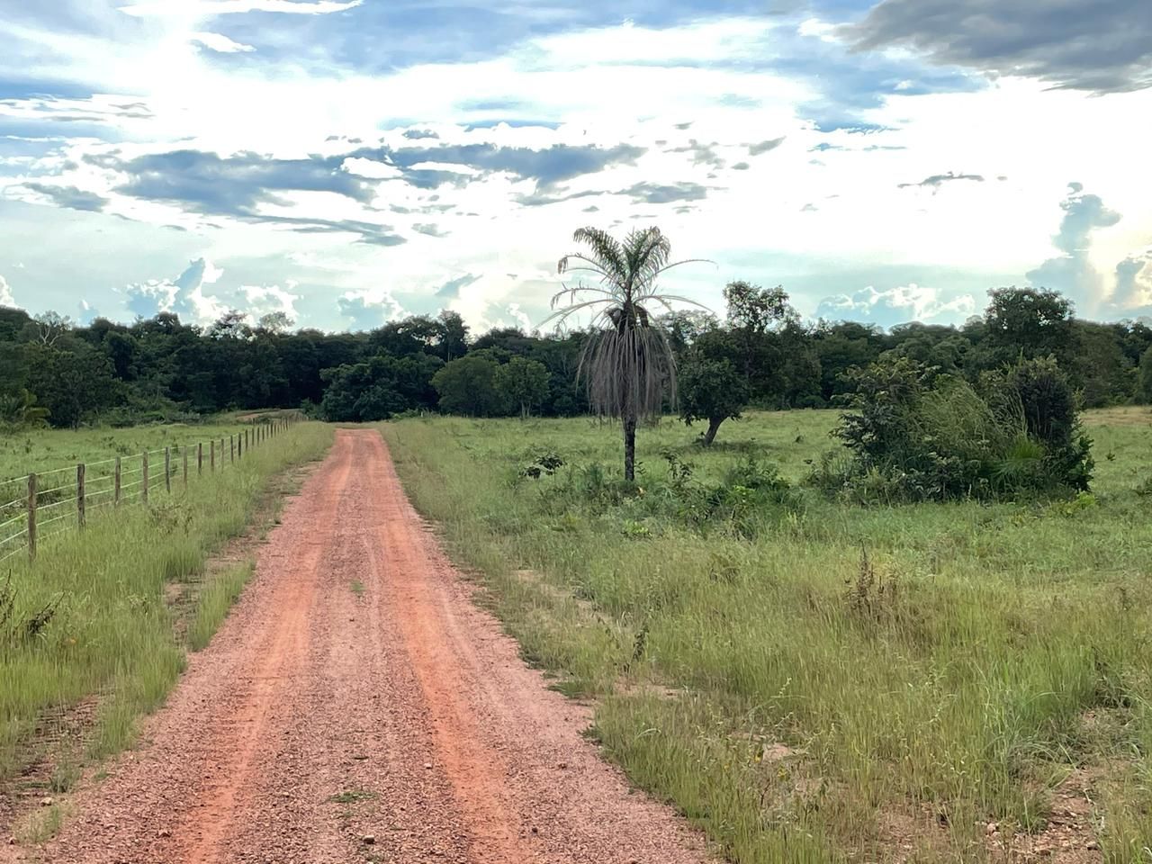 Imagens do imóveis fazenda à venda em zona rural, aliança do tocantins 15720000m²