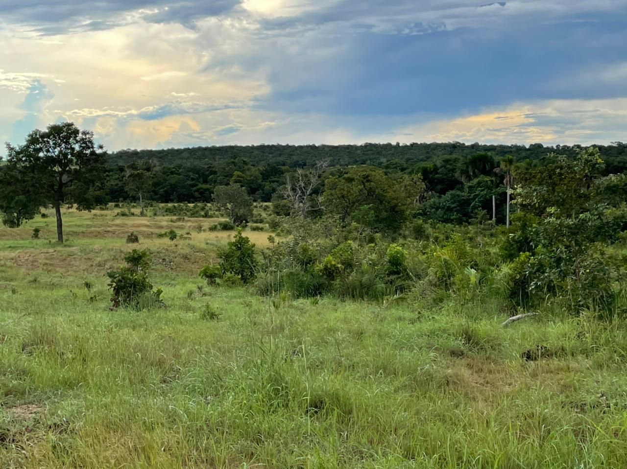 Imagens do imóveis fazenda à venda em zona rural, aliança do tocantins 15720000m²