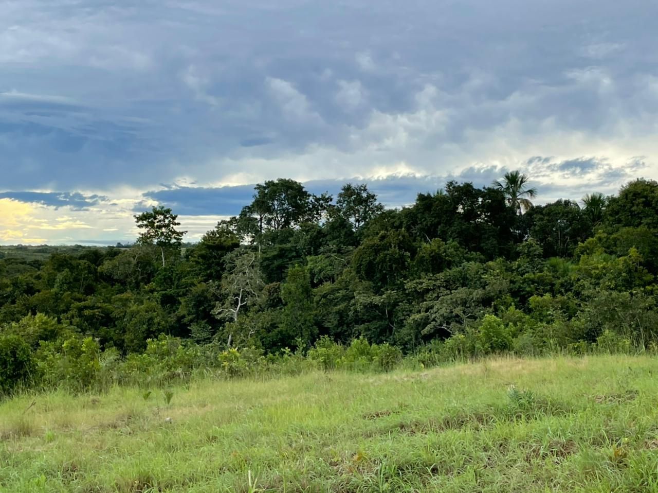 Imagens do imóveis fazenda à venda em zona rural, aliança do tocantins 15720000m²