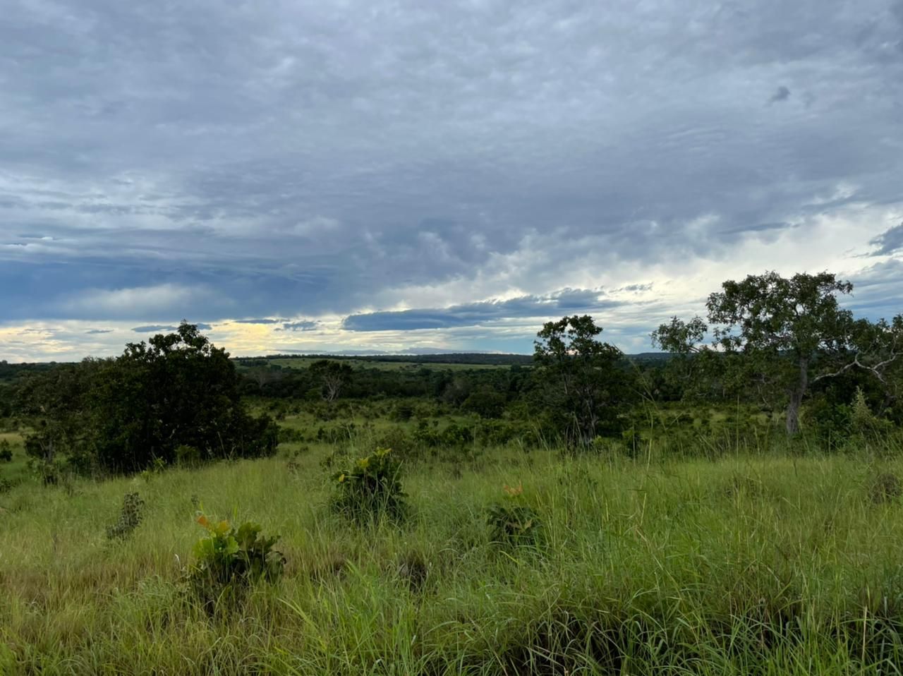 Imagens do imóveis fazenda à venda em zona rural, aliança do tocantins 15720000m²