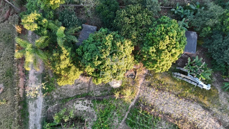 Fazenda/Sítios/Chácaras À Venda Serrote Piracicaba