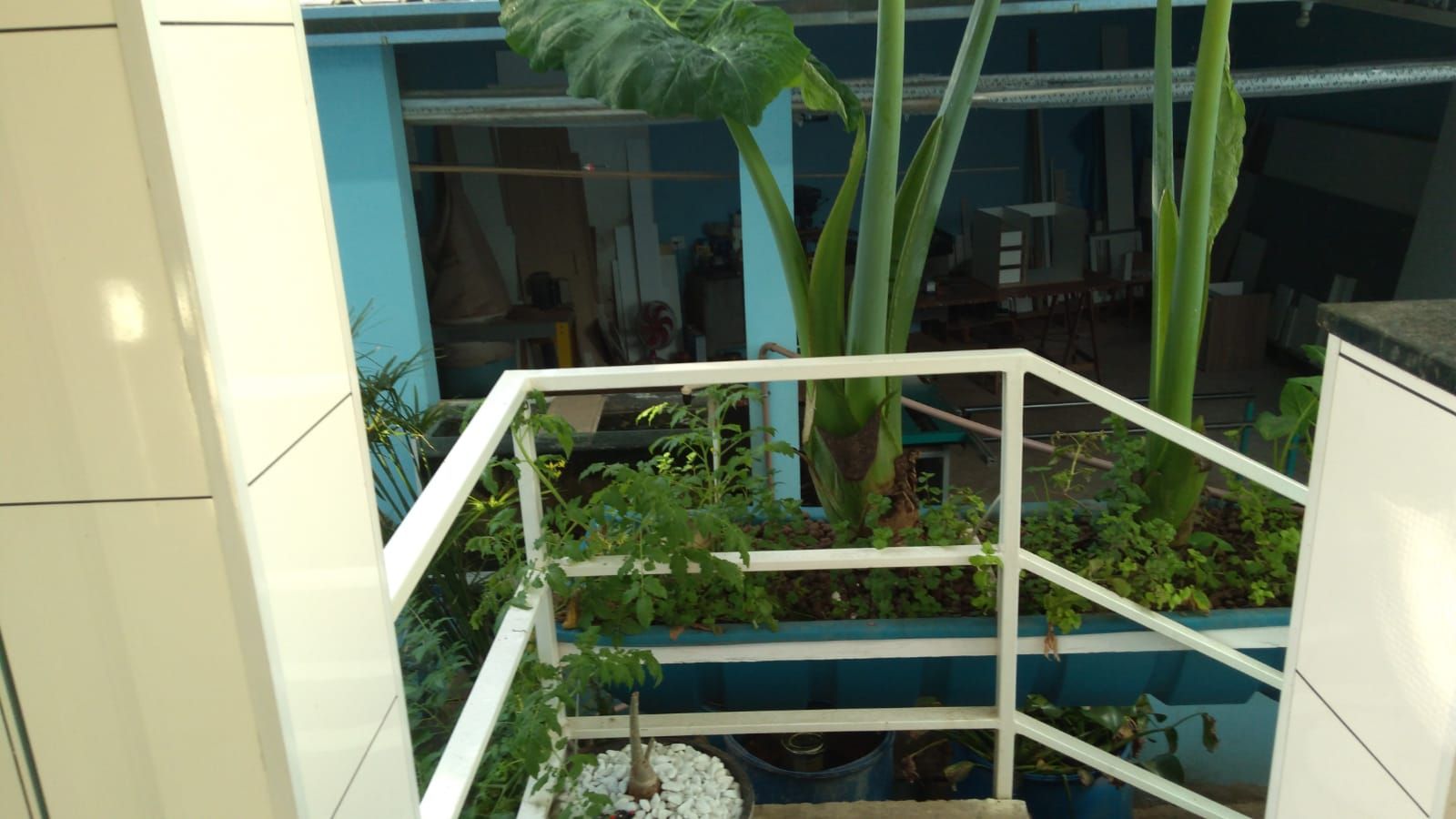 Imagens do imóveis casa à venda em nossa senhora de fátima, piracicaba 3 quartos 290m²