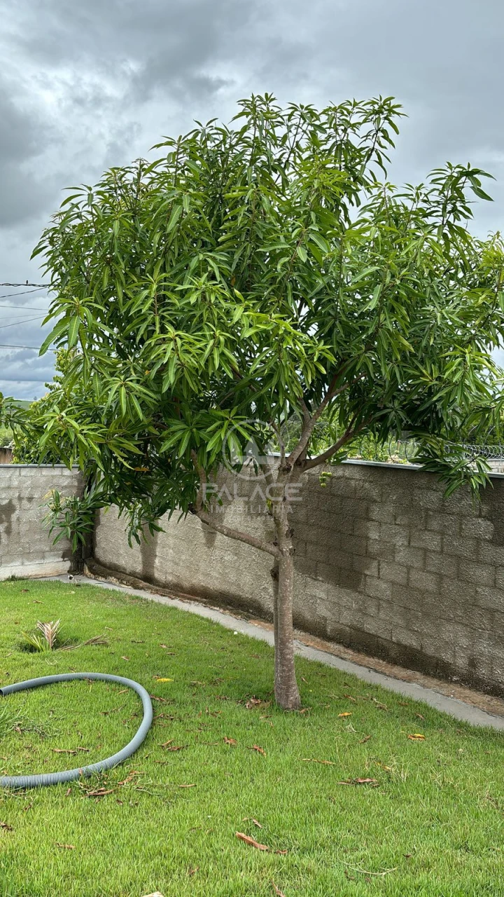 Chácara, 3 quartos - Foto 4