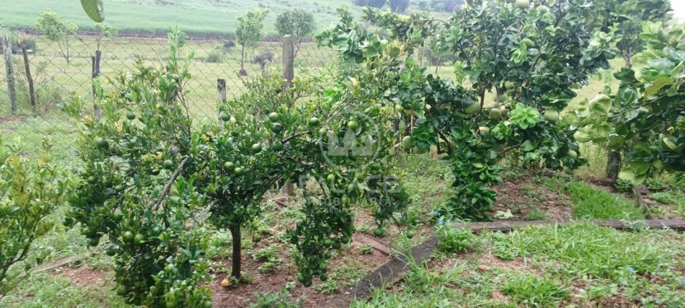 Exuberante Sitio na Piracicaba/Anhumas