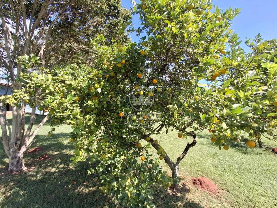 Linda Chácara Urbana a Venda no Bairro Santa Rita Piracicaba SP