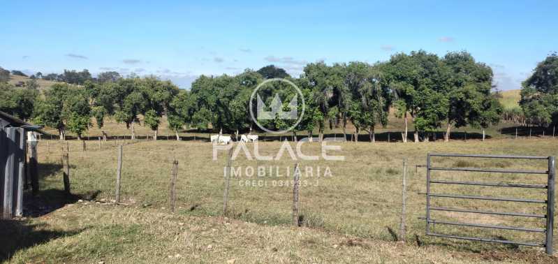 Imagens do imóveis sítio à venda em zona rural, saltinho 6 quartos 108900m²