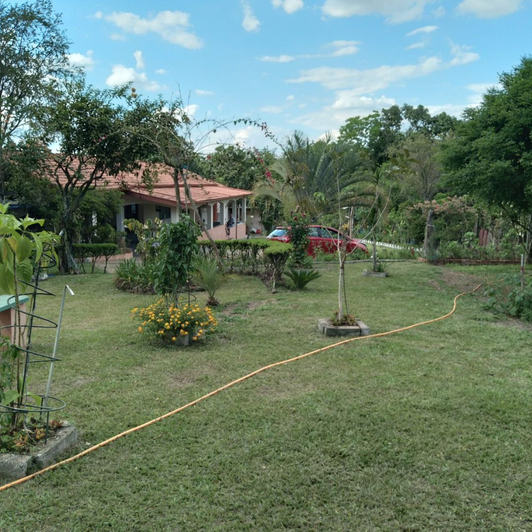 Imagens do imóveis chácara à venda em córrego da onça, charqueada 2 quartos