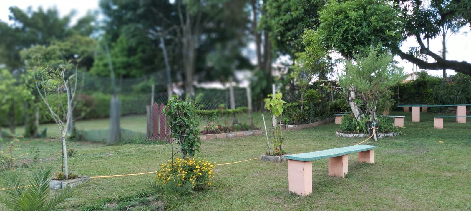 Imagens do imóveis chácara à venda em córrego da onça, charqueada 2 quartos