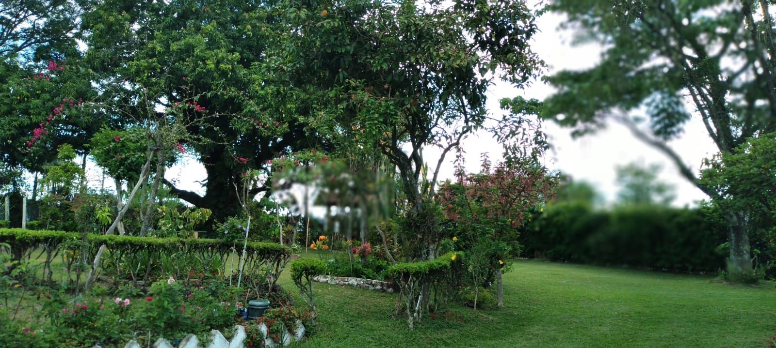 Imagens do imóveis chácara à venda em córrego da onça, charqueada 2 quartos