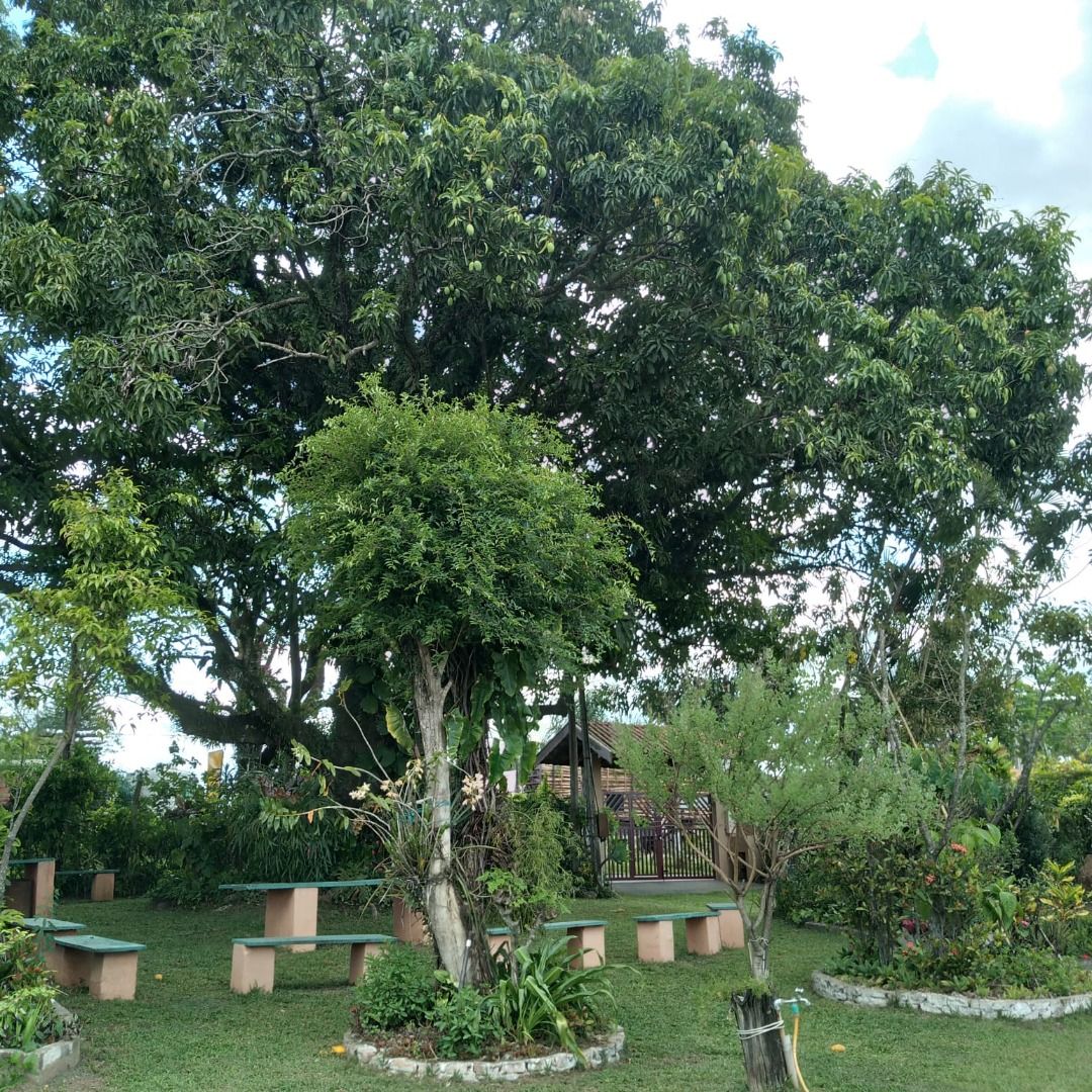 Imagens do imóveis chácara à venda em córrego da onça, charqueada 2 quartos