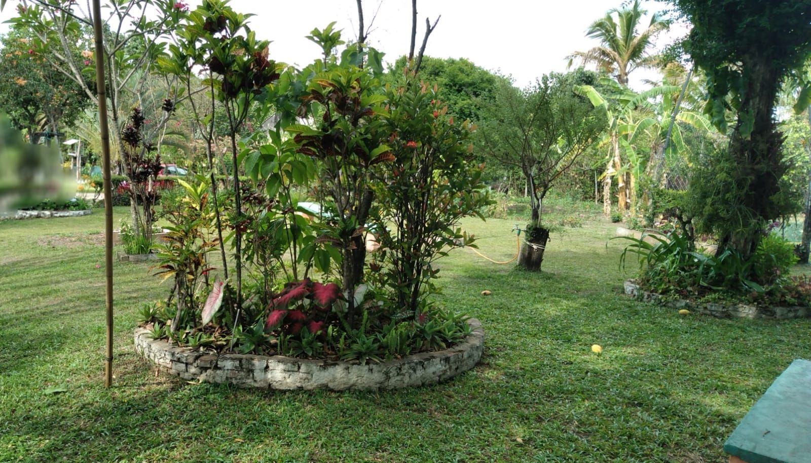 Imagens do imóveis chácara à venda em córrego da onça, charqueada 2 quartos