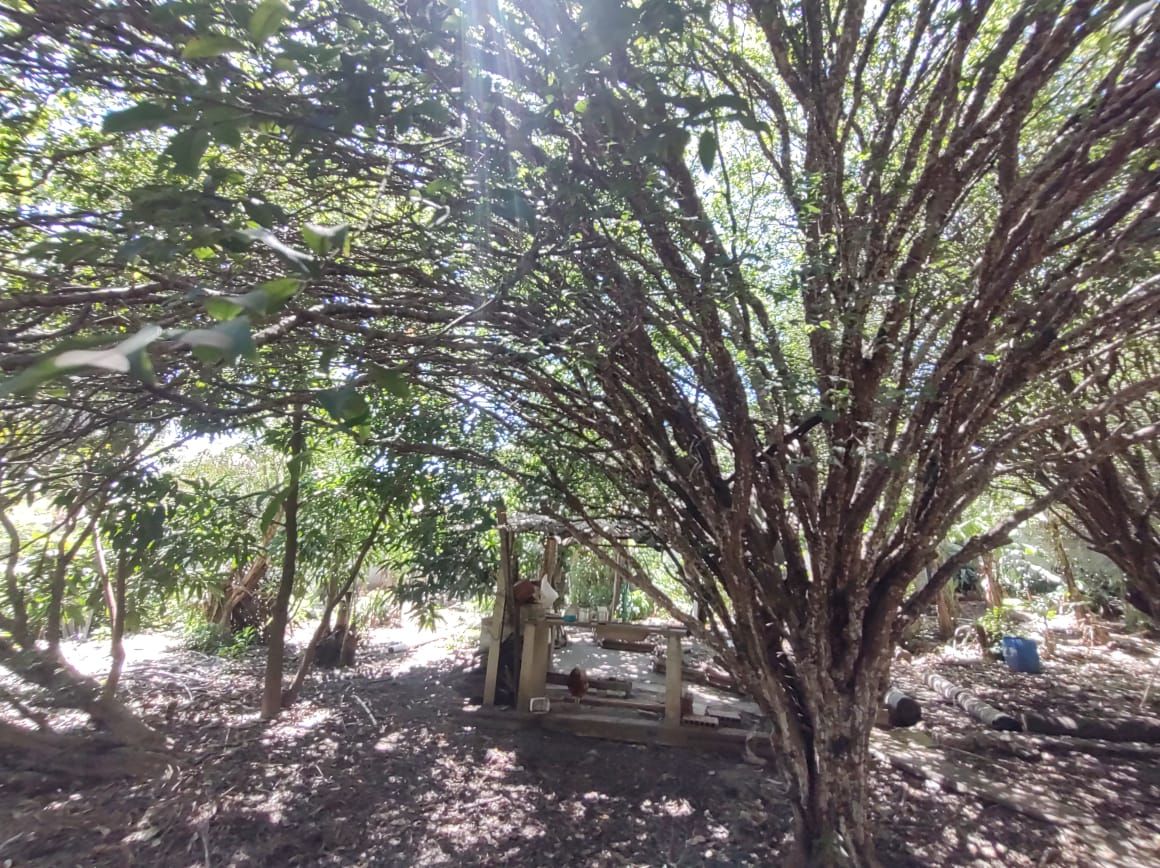 Imagens do imóveis Chácara com 6 dormitórios à venda, 2000 m² por RS 1.000.000,00 - Pau D Alhinho - Piracicaba-SP