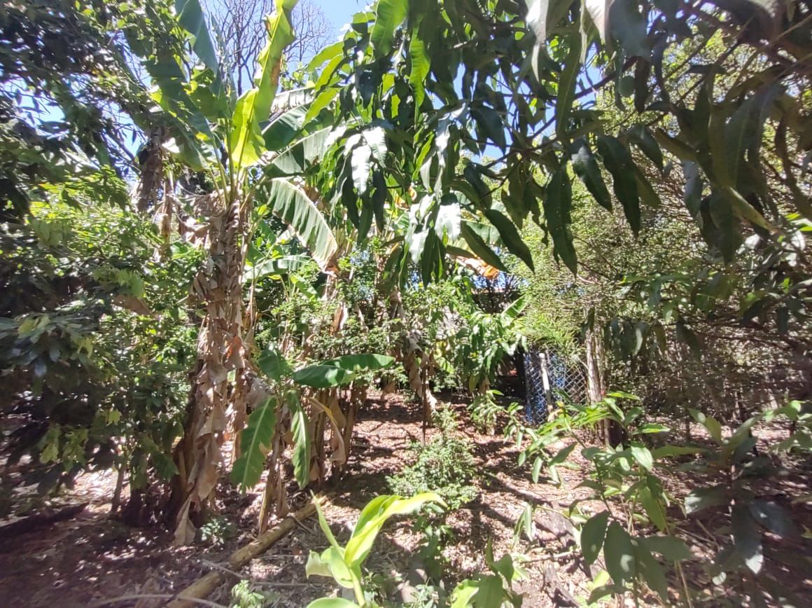Imagens do imóveis Chácara com 6 dormitórios à venda, 2000 m² por RS 1.000.000,00 - Pau D Alhinho - Piracicaba-SP