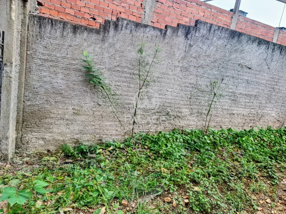 Casa Para Alugar Loteamento Santa Rosa Piracicaba