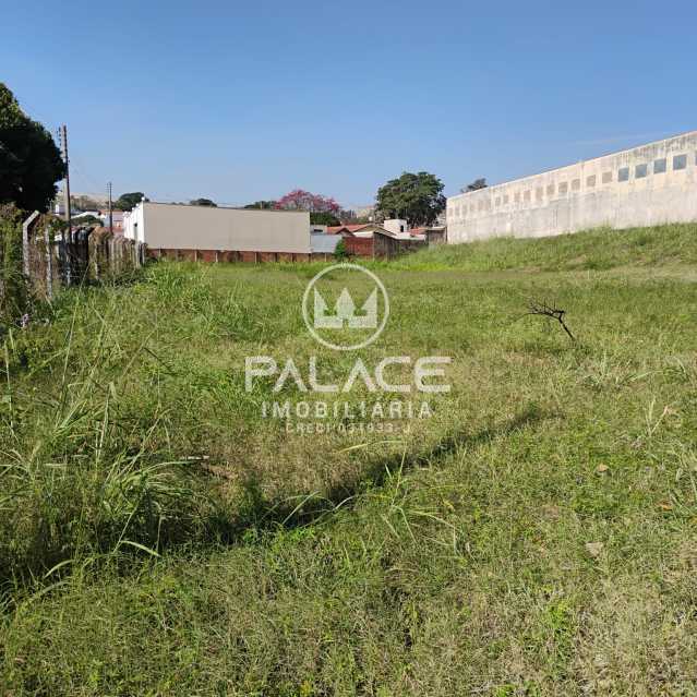 terreno comercial para alugar em higienópolis, piracicaba 3586m²