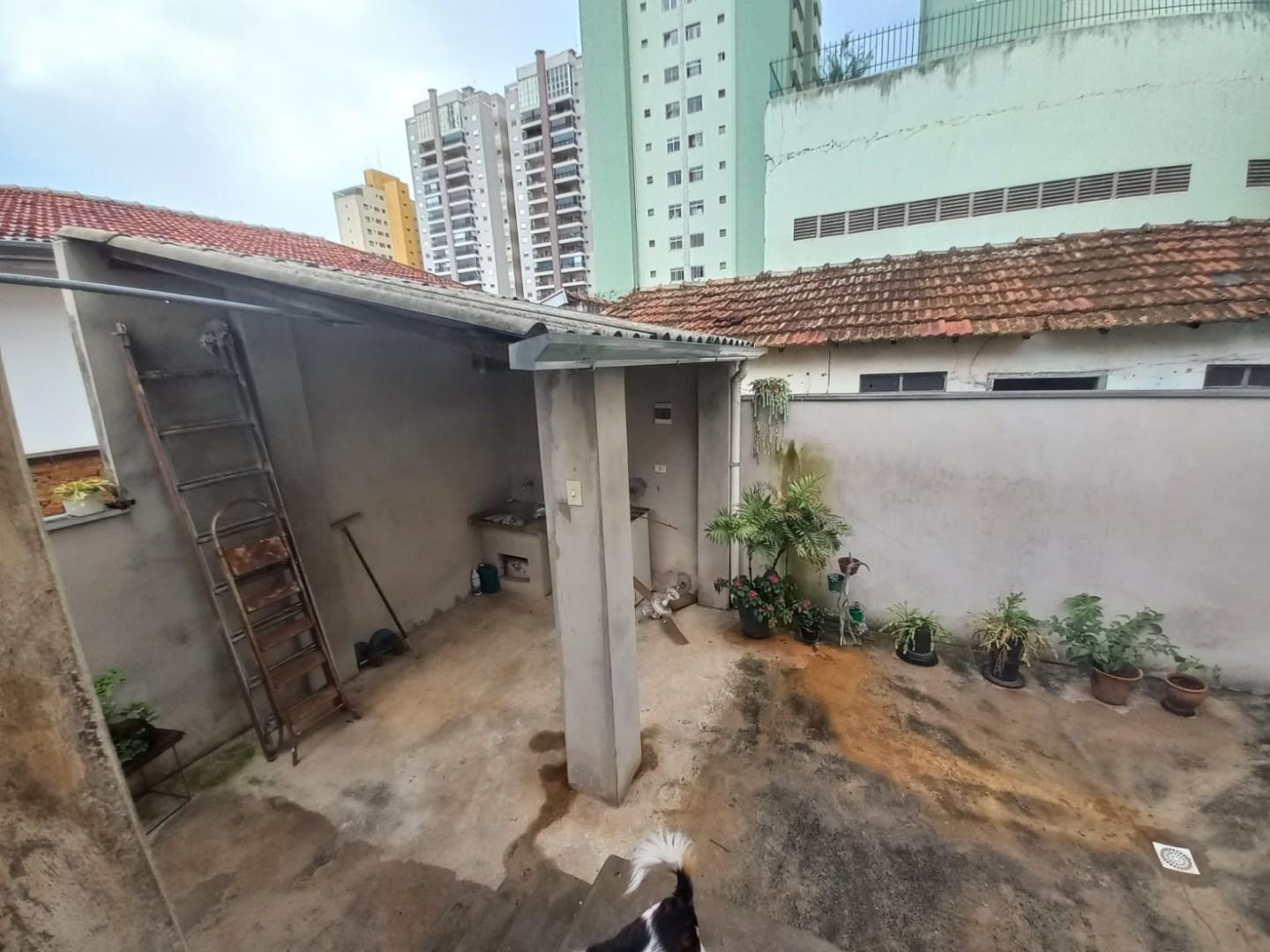 Imagens do imóveis casa à venda em alto, piracicaba 3 quartos 86m²