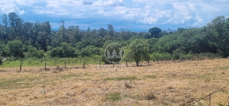 Excelente área para indústrias e transportadoras de grande porte