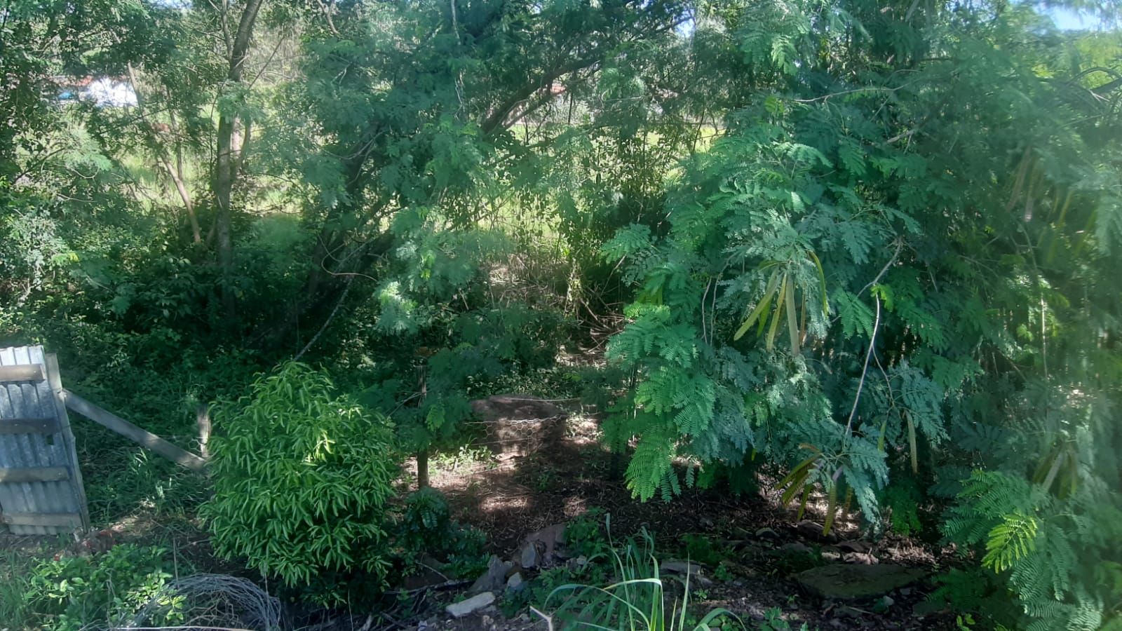 Imagens do imóveis chácara à venda em nova suiça, piracicaba 4 quartos