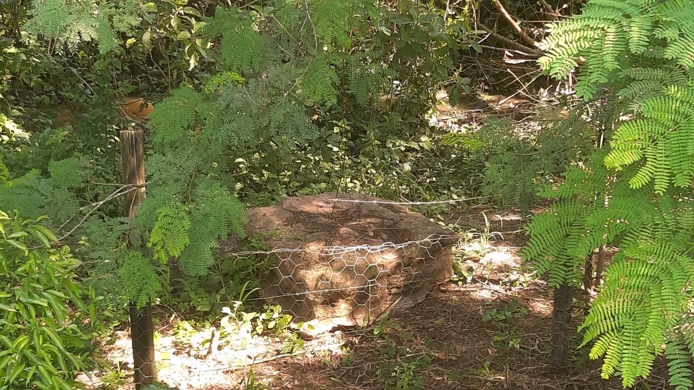 Imagens do imóveis chácara à venda em nova suiça, piracicaba 4 quartos