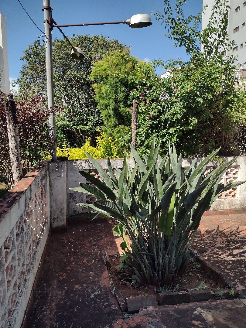 Imagens do imóveis casa comercial à venda em centro, piracicaba 3 quartos 232m²