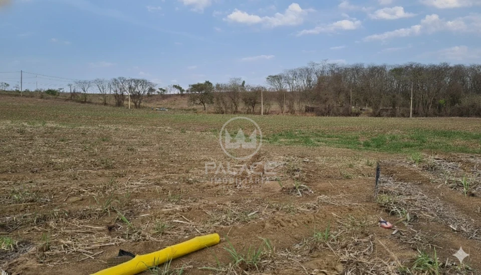 Fazenda, sítio ou chácara à venda em Parque São Jorge, Piracicaba - foto 8