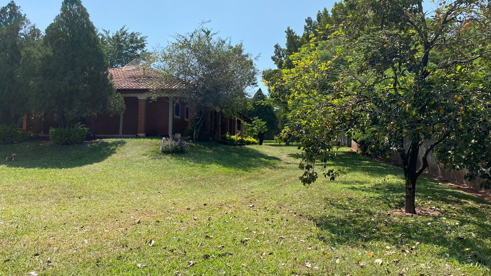 Imagens do imóveis chácara à venda em floresta escura i, são pedro 8 quartos