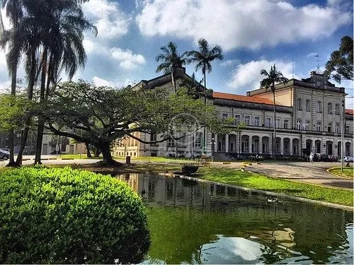 Fazenda/Sítios/Chácaras À Venda Jardim Nova Iguaçu Piracicaba