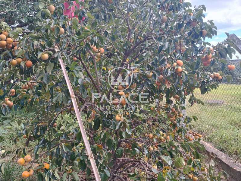 Imagens do imóveis Sítio com 7 alqueires e 3 casas a venda em Conchas, SP.