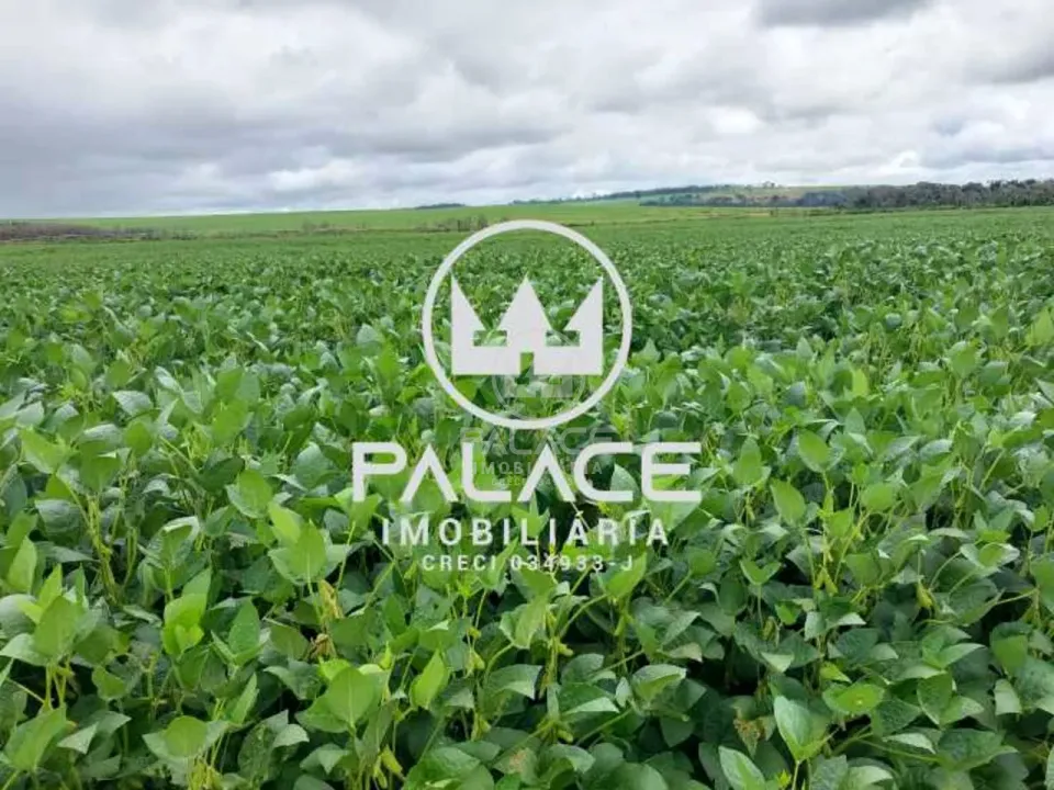 Fazenda, sítio ou chácara à venda em Zona Rural, Tambaú - foto 5