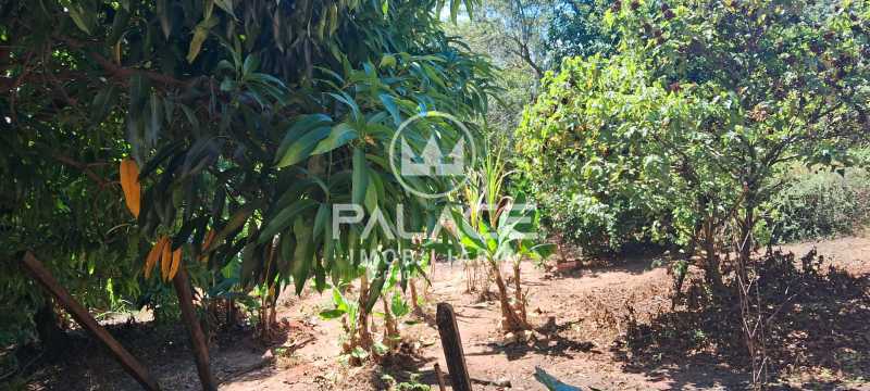 Imagens do imóveis chácara à venda em zona rural, anhembi 3 quartos 750m²