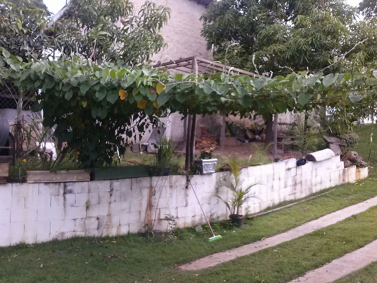 Imagens do imóveis Chácara à venda, 1600 m² por RS 300.000 - Santa Isabel (Tupi) - Piracicaba-SP