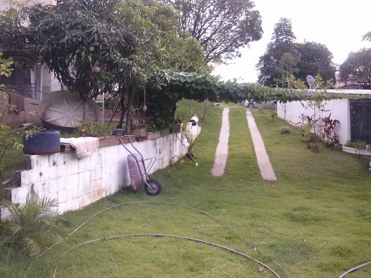 Imagens do imóveis Chácara à venda, 1600 m² por RS 300.000 - Santa Isabel (Tupi) - Piracicaba-SP