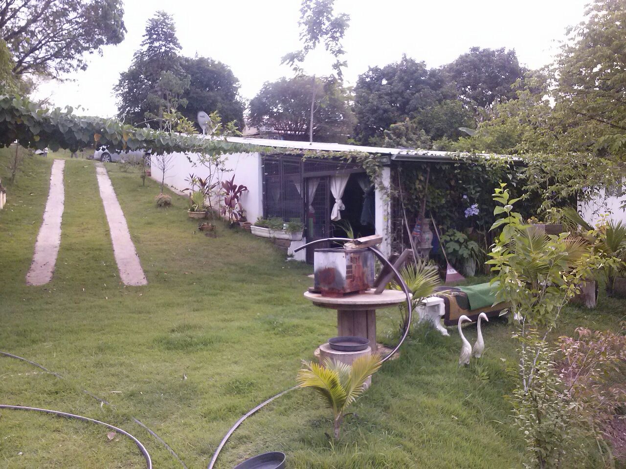 Imagens do imóveis Chácara à venda, 1600 m² por RS 300.000 - Santa Isabel (Tupi) - Piracicaba-SP