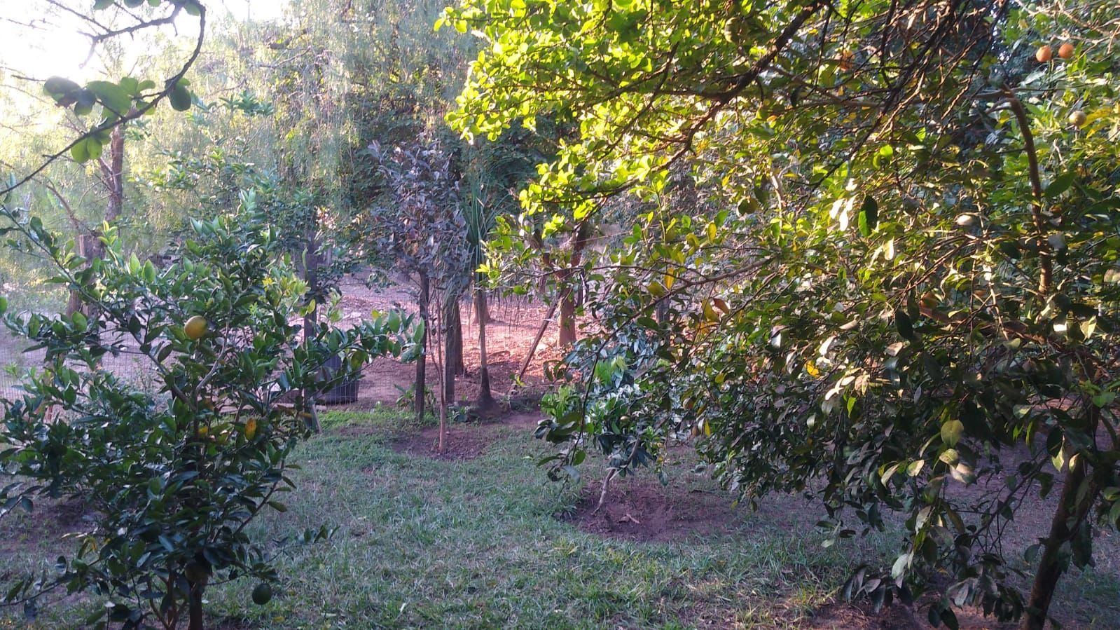 Imagens do imóveis chácara à venda em colinas de santa izabel, piracicaba 3 quartos
