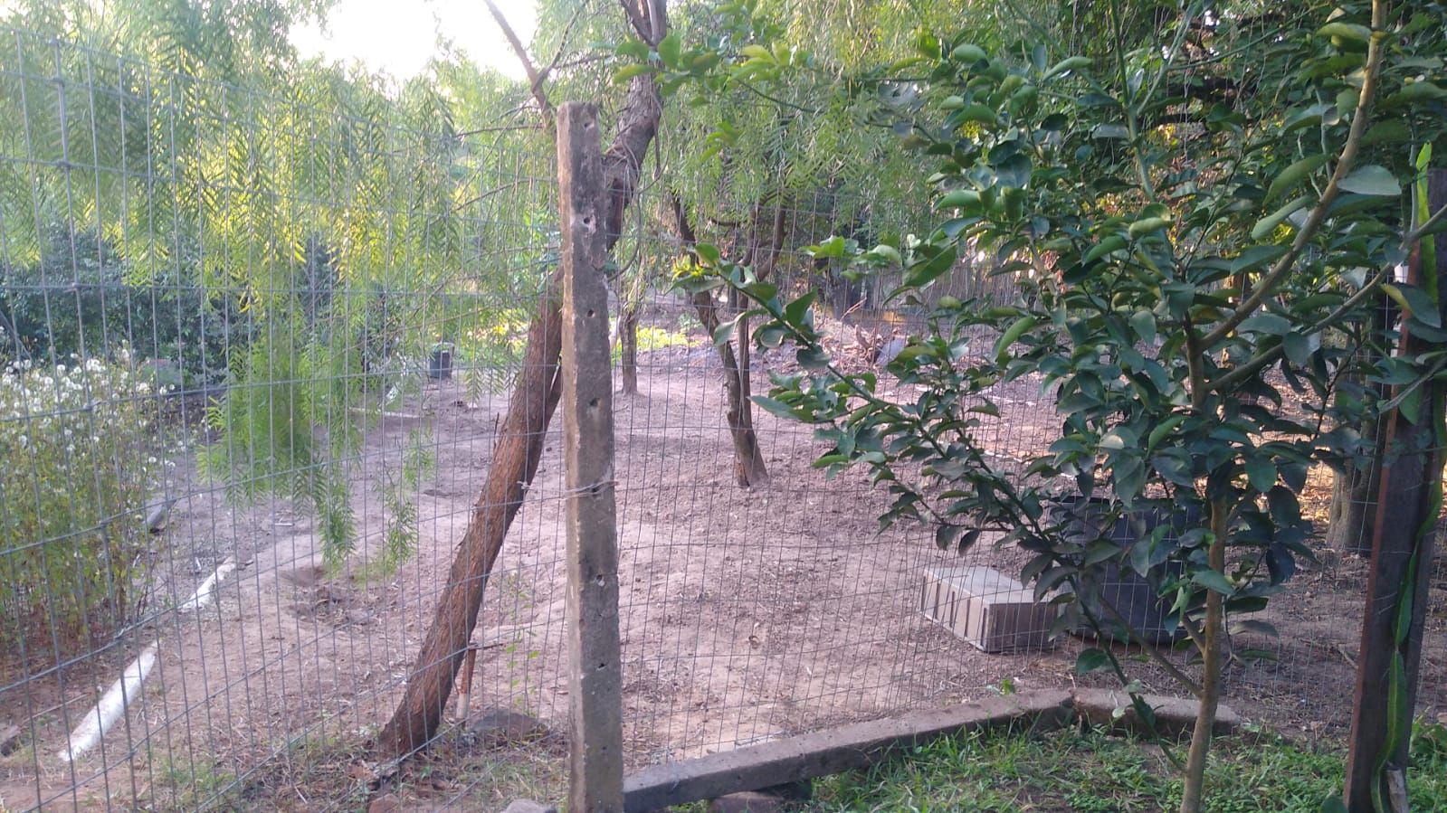 Imagens do imóveis chácara à venda em colinas de santa izabel, piracicaba 3 quartos